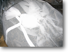 カーボン カーボン